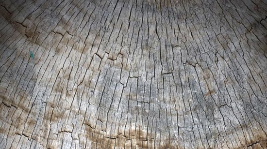 5 Old Wood Textures Pack 1